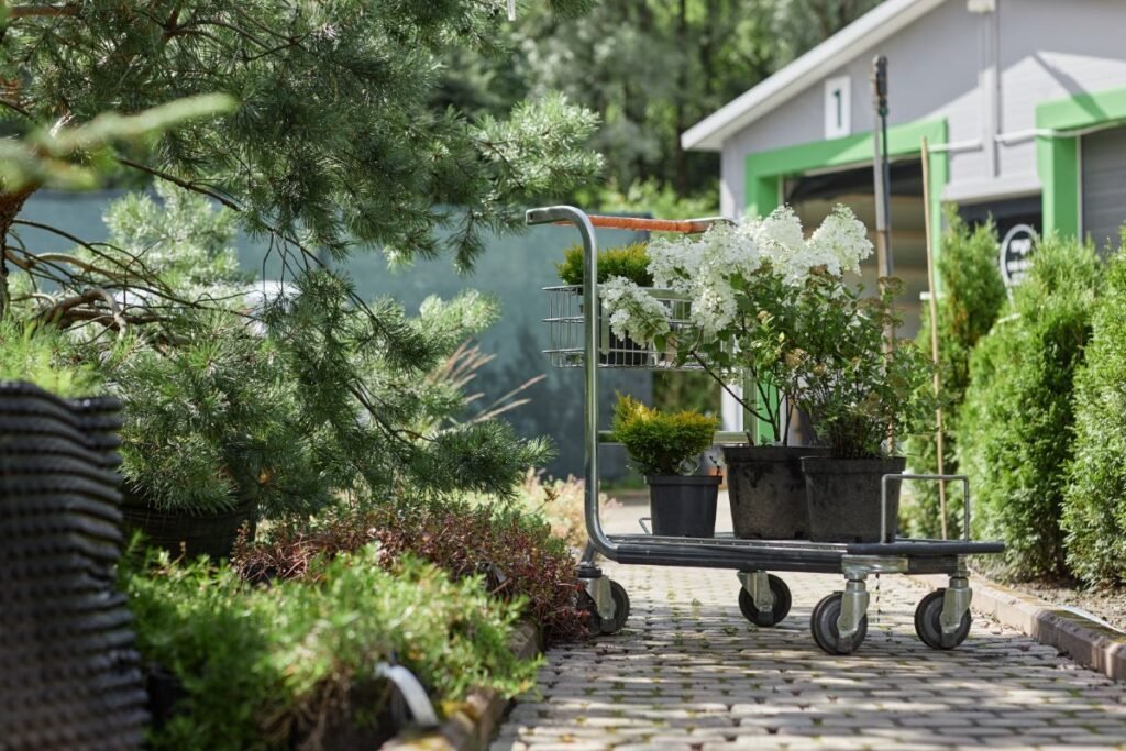 Hortenzijų tręšimas pavasarį