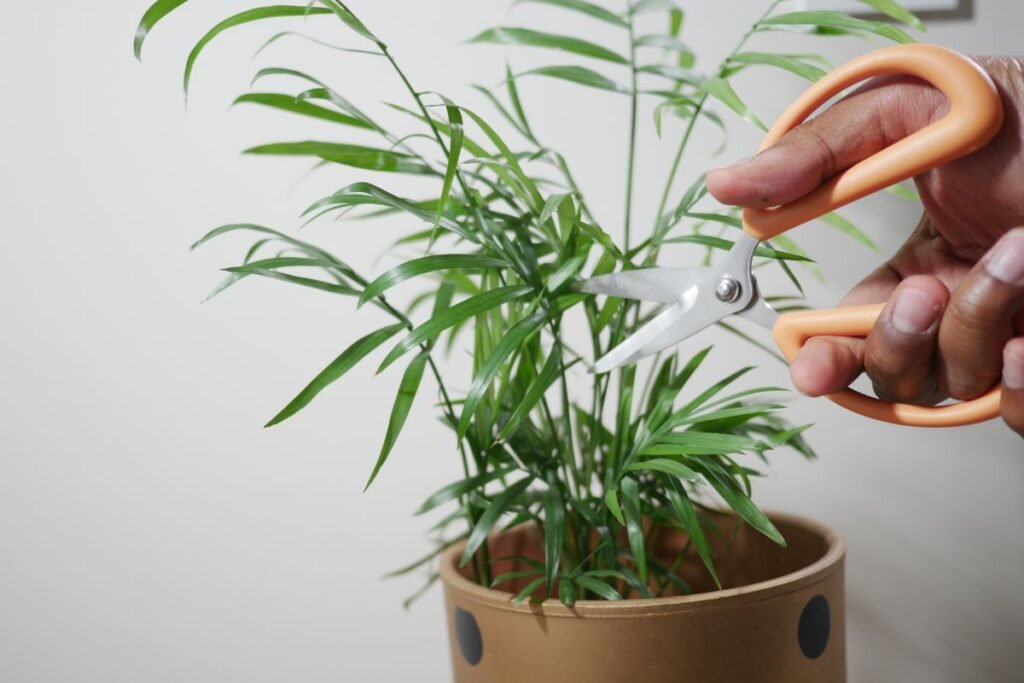 Prevencija: kaip pasitikti kitą žiemą?