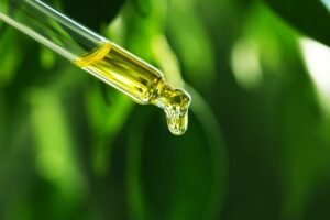 Jūros dumblių ekstraktas