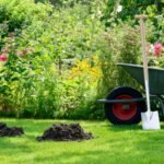 Kurmiarausių žemė