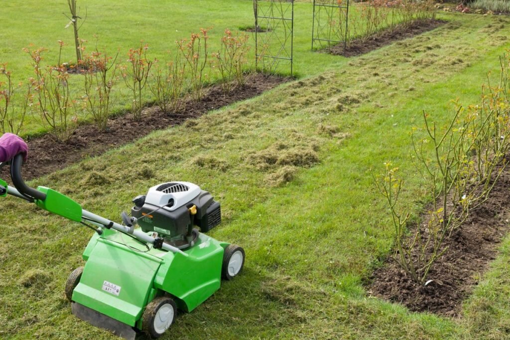 Skarifikavimas: kaip atnaujinti veją išlaisvinant ją nuo veltinio