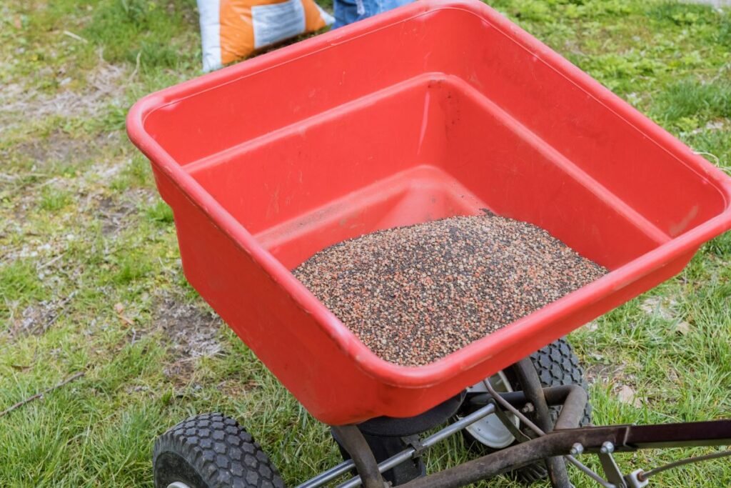 Vejos „maitinimas“: trąšų pasirinkimas ir barstymas