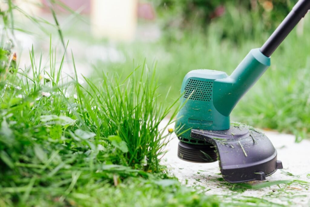 Kaip atnaujinti veją: kraštų tvarkymas