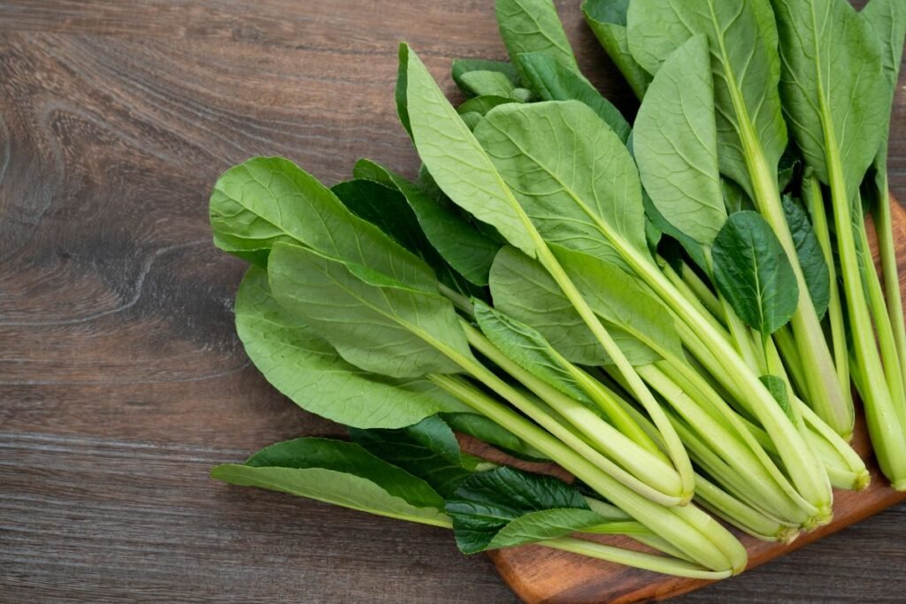 Lapinės garstyčios