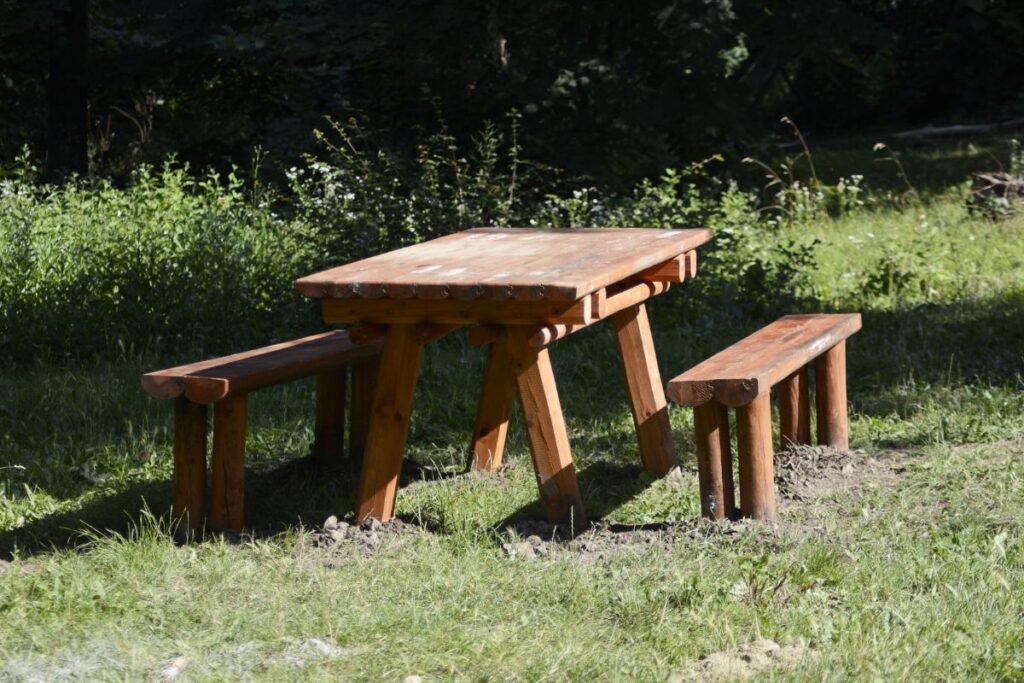 Pirmas žingsnis – apžiūra ir valymas