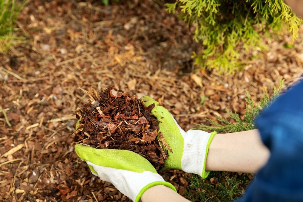 Koks mulčo sluoksnis yra tinkamas?