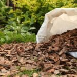 Mulčas: kiek jo reikia ir kaip apskaičiuoti? Mulčo skaičiuoklė