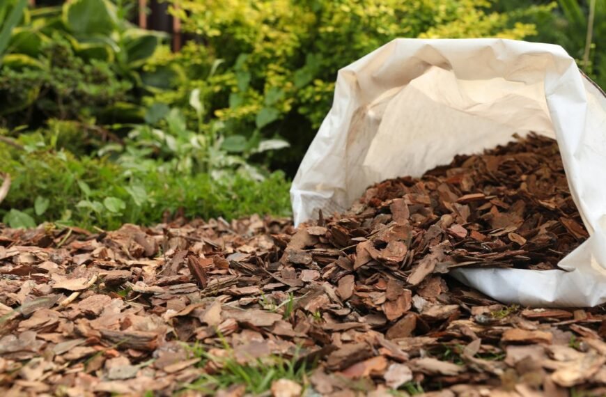 Mulčas: kiek jo reikia ir kaip apskaičiuoti? Mulčo skaičiuoklė