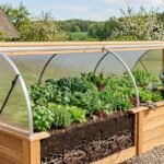 Pakeltų lysvių šiltnamis – naujos kartos sprendimas ankstyvam ir gausiam derliui