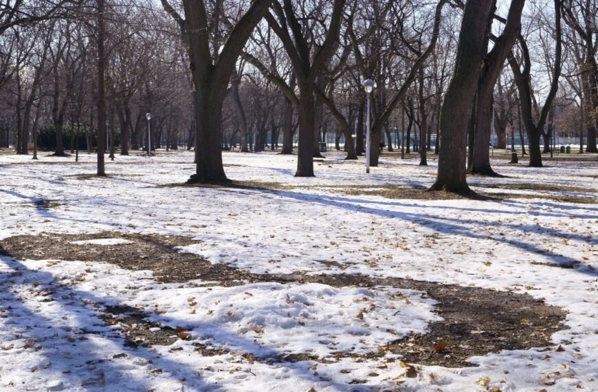 Po sniegu – ne tik snieguolės: kodėl pavasarinė higiena kieme taip pat svarbi?