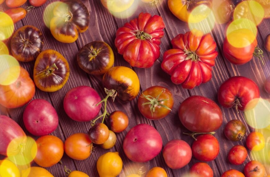Saldžių pomidorų veislės: kaip užsiauginti desertą savo darže?