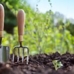 Sodininkystė: kurį metodą pasirinkti savo darže?