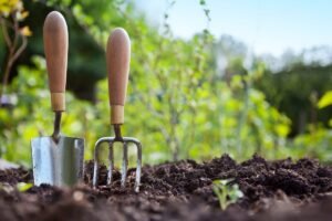 Sodininkystė: kurį metodą pasirinkti savo darže?