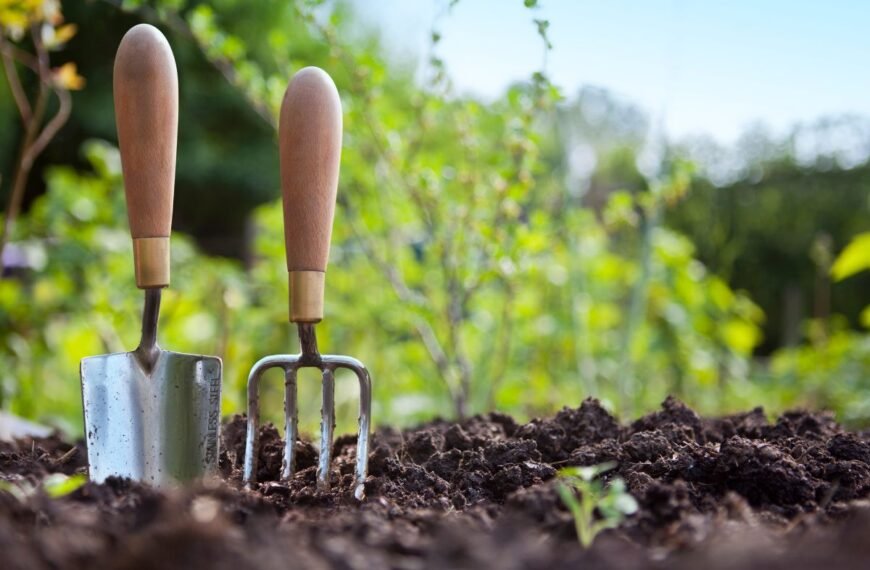 Sodininkystė: kurį metodą pasirinkti savo darže?