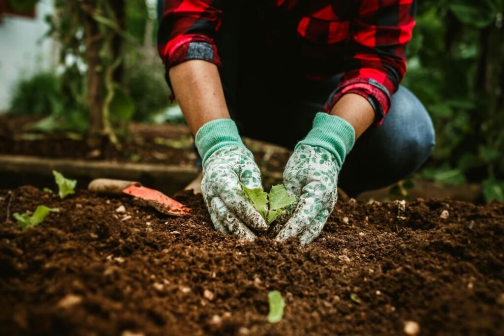 „No–Dig“ metodas – sodininkystė be kasimo