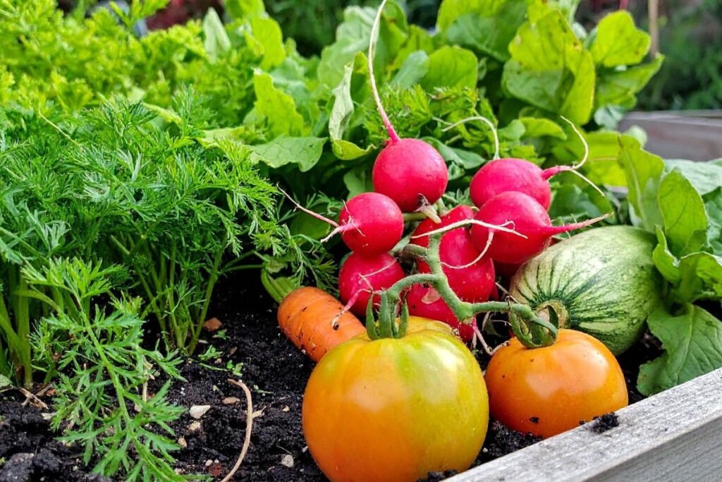 Sodininkystė: kurį metodą pasirinkti?