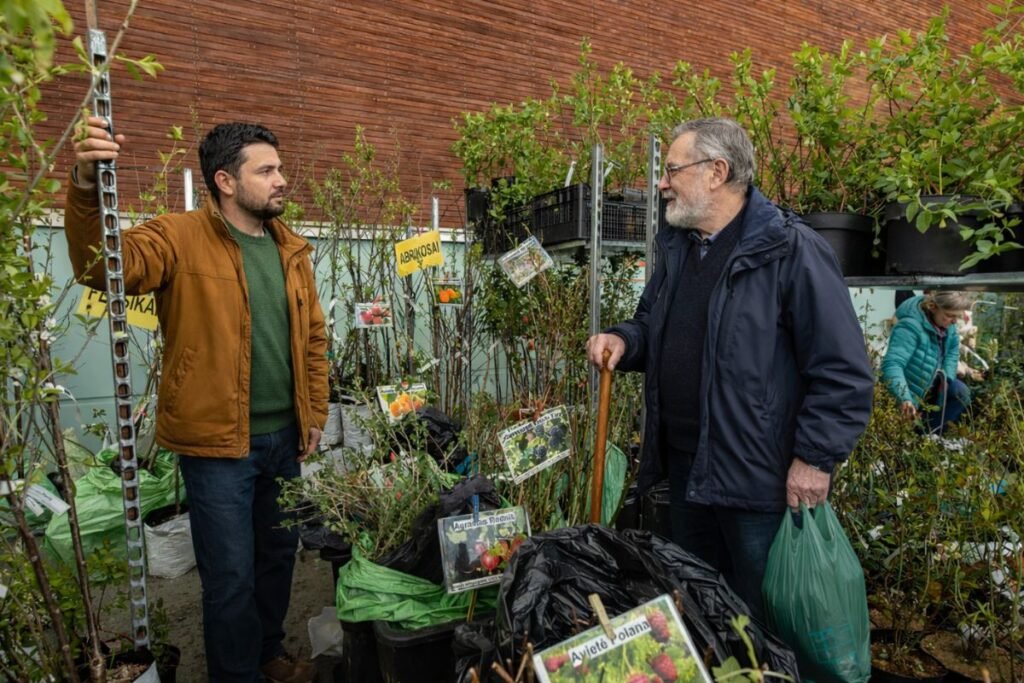 Sodinukų mugės 2026: birželis ir vasaros planai