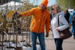 Sodinukų mugės 2026 visoje Lietuvoje: išsamus gidas, kur ir kada ieškoti geriausių sodinukų?