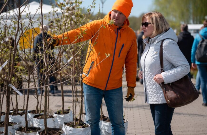 Sodinukų mugės 2026 visoje Lietuvoje: išsamus gidas, kur ir kada ieškoti geriausių sodinukų?
