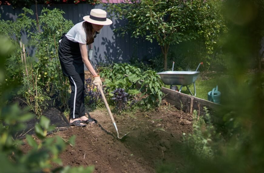 Sportas darže: kaip lysvės virsta geriausia sporto sale po atviru dangumi?