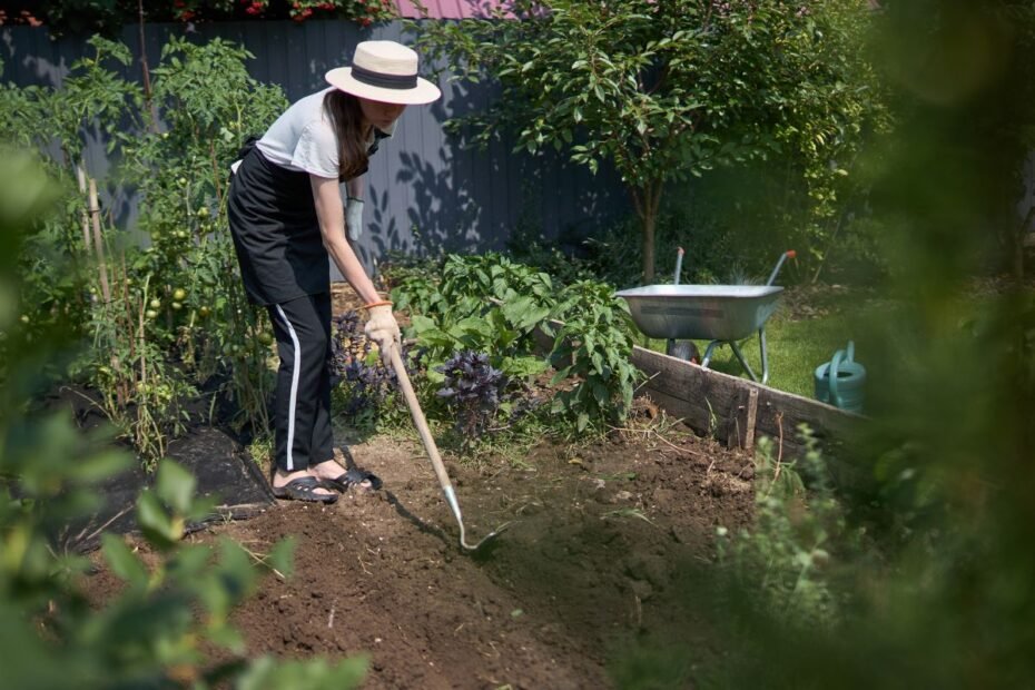 Sportas darže: kaip lysvės virsta geriausia sporto sale po atviru dangumi?