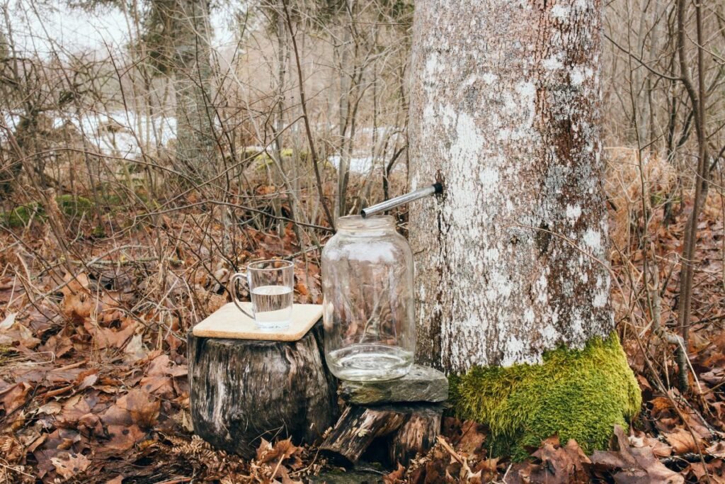 Sulos nauda grožiui