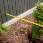 Kokiu atstumu sodinamos tujos