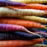 Morkų rūšys – nuo klasikinės oranžinės iki egzotiškos violetinės. Ką pasirinkti?