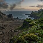 Kaip augalai pakeitė Žemę? Istorija, be kurios mūsų nė nebūtų