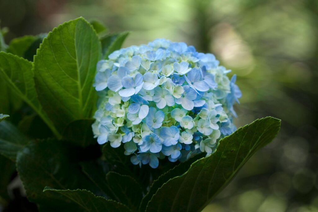 Keletas praktinių patarimų pradedančiajam