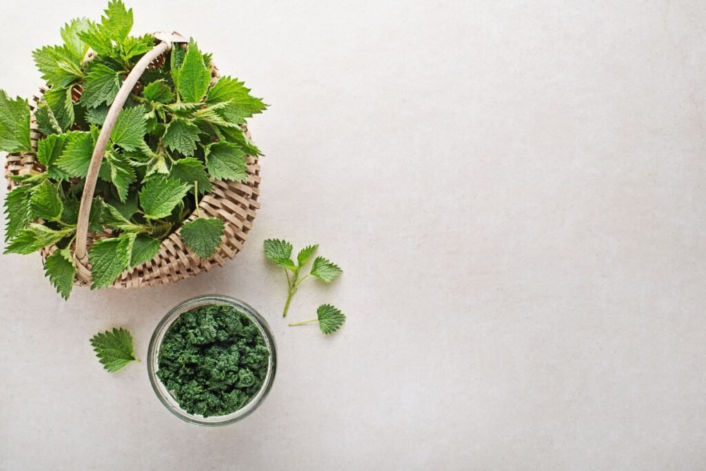 Kodėl dilgėlės vertos jūsų dėmesio?