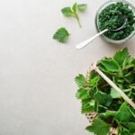Dilgėlių pesto – pavasarinis sveikatos ir energijos eliksyras