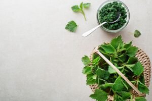 Dilgėlių pesto – pavasarinis sveikatos ir energijos eliksyras