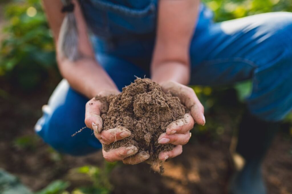 Suspaudimo testas: kaip teisingai jį atlikti?