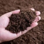Ar dirvožemis paruoštas sodinimui? Išbandykite šį paprastą testą rankomis