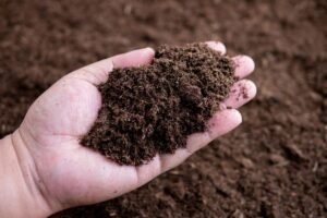 Ar dirvožemis paruoštas sodinimui? Išbandykite šį paprastą testą rankomis