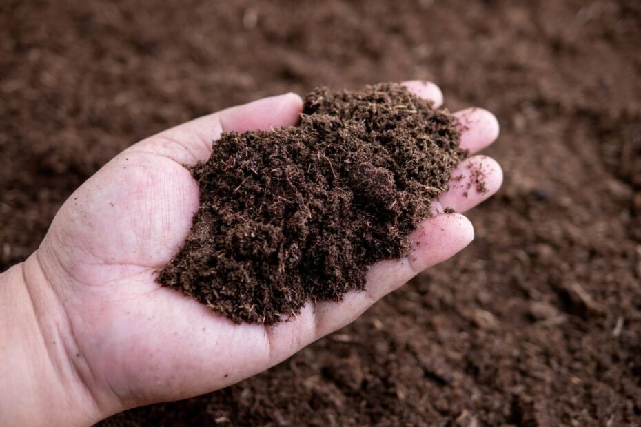 Ar dirvožemis paruoštas sodinimui? Išbandykite šį paprastą testą rankomis