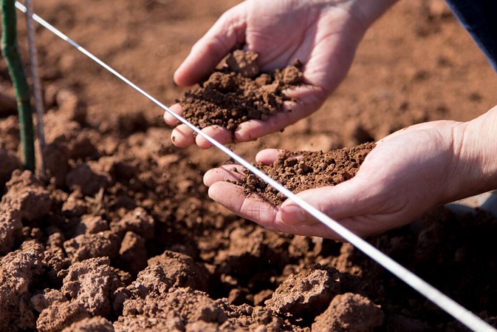 Dirvožemio tipas – ar žinote, su kuo dirbate?