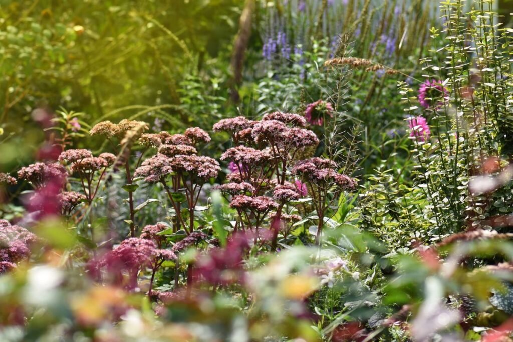 Ruduo: spalvos, kurias verta planuoti tikslingai