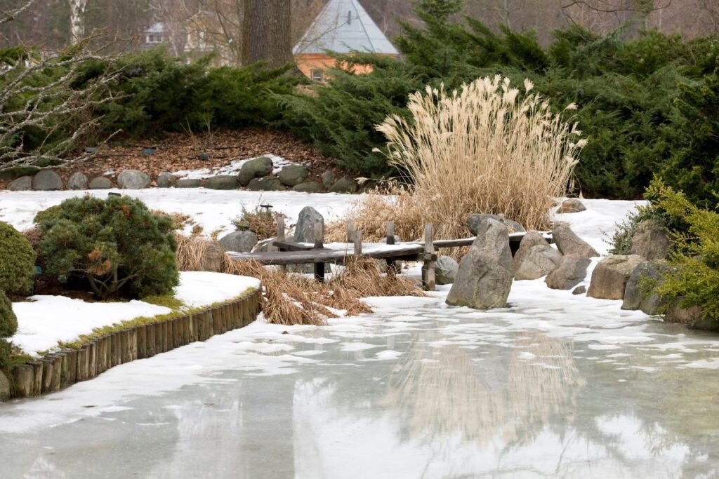 Gėlyno planavimas žiemą: ne tik laukimas, bet ir grafiškas grožis