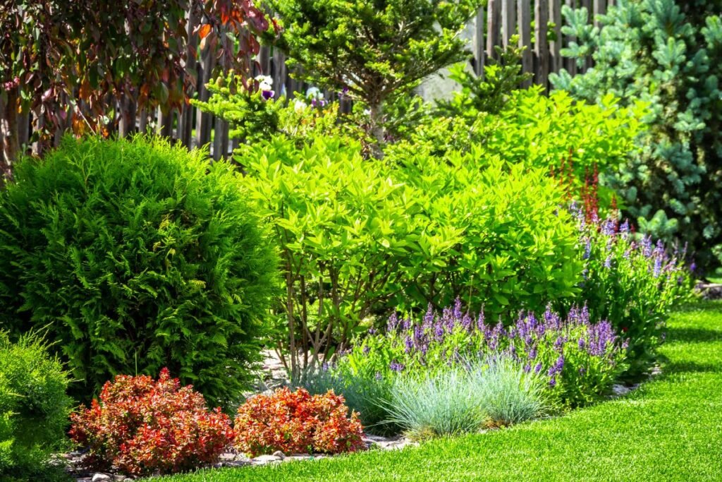 Gėlyno planavimas: stuburas, ant kurio viskas laikosi