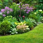 Gėlyno planavimas visiems metams: kaip sukurti nuolat žydintį sodą?