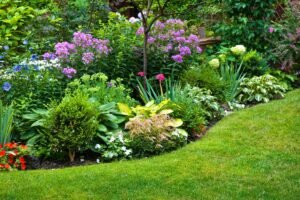 Gėlyno planavimas visiems metams: kaip sukurti nuolat žydintį sodą?
