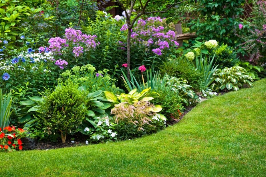 Gėlyno planavimas visiems metams: kaip sukurti nuolat žydintį sodą?