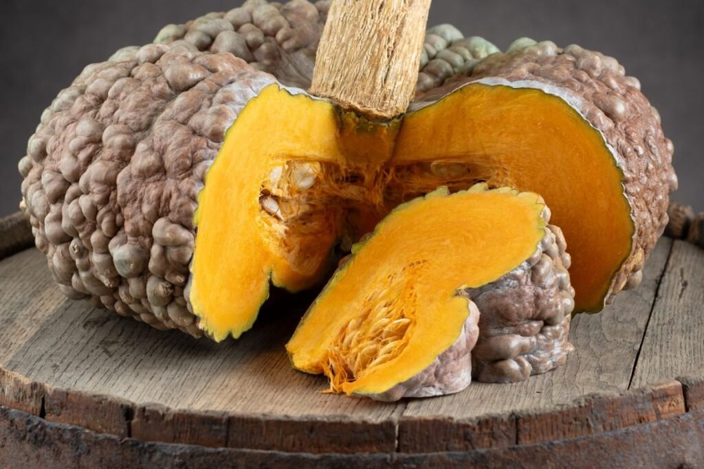 Geriausios moliūgų veislės: milžinai su charakteriu ir tekstūros stebuklai