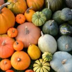 Geriausios moliūgų veislės: kaip užauginti tikrą rudens karalių savo darže?