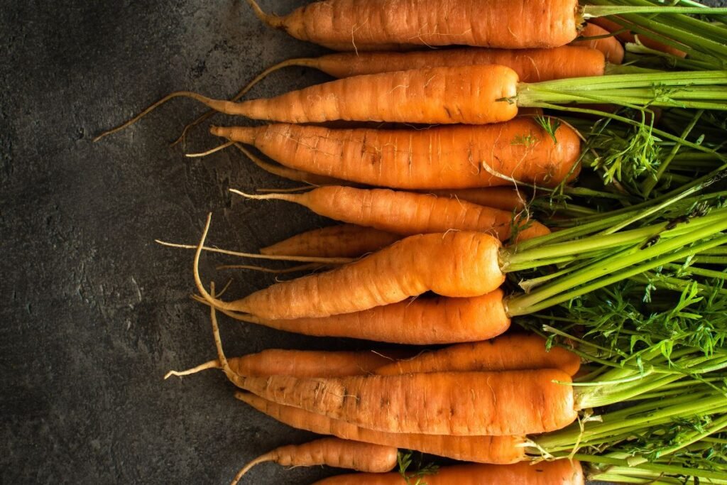 Geriausios morkų veislės: „Berlikum“ tipo morkos – derliaus milžinės