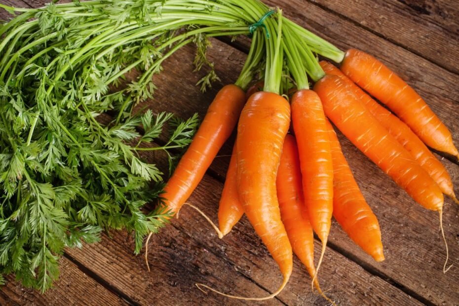 Geriausios morkų veislės: kaip iš gausybės išsirinkti pačias tinkamiausias savo daržui?