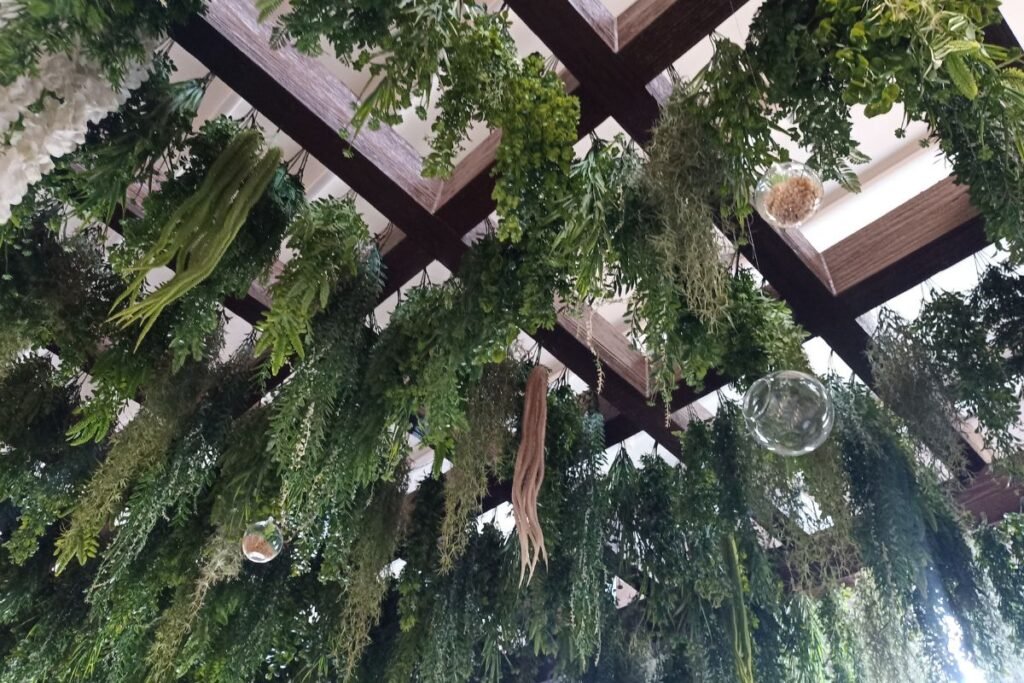 Inovatyvūs auginimo metodai: auginimas be žemės