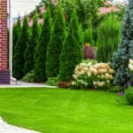 Kraštovaizdžio klaidos